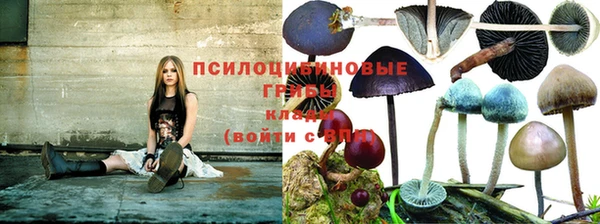 скорость Козельск