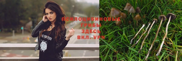 эйфоретик Козловка