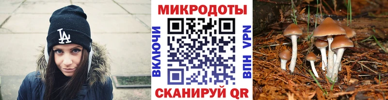Галлюциногенные грибы Cubensis  Купить где  Поронайск 